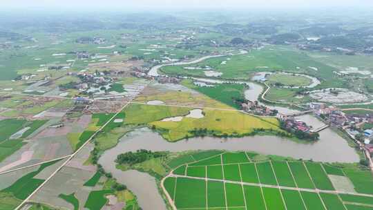 袁隆平实验田春耕育苗基地绿油油水稻田