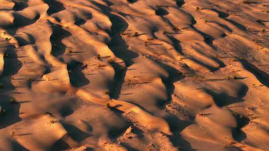夕阳下的塔克拉玛干沙漠