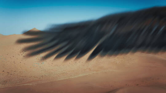 沙漠山羊空镜视频素材模板下载