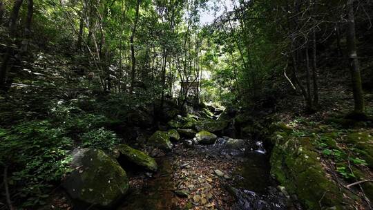 低角度拍摄桂林大山峡谷中的森林瀑布溪流