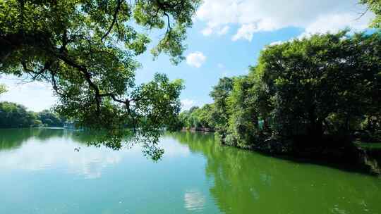 桂林两江四湖公园湖边树荫风景