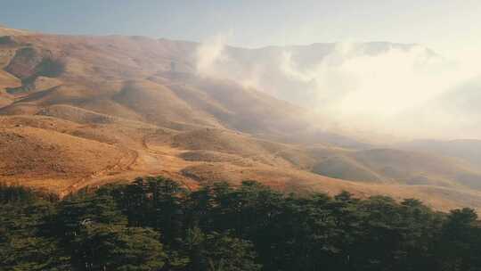 自然风光森林山脉绿色生态