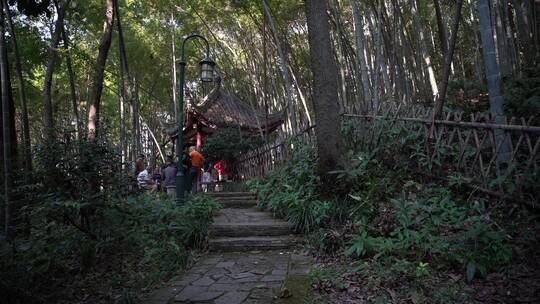 杭州宝石山白沙泉景点视频