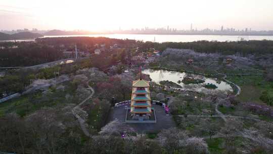 湖北省武汉市东湖磨山樱花园五重塔日落航拍