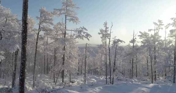 内蒙古大兴安岭冰雪雾凇、雪凇