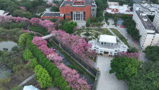 中国广东省广州市从化区华软丝木棉广场