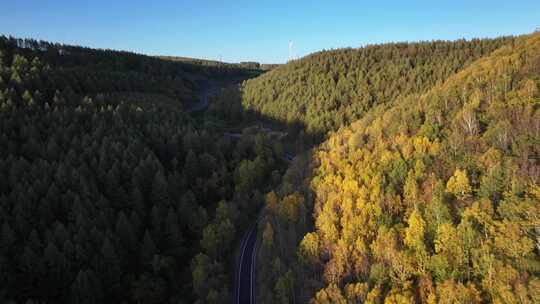 森林公路  航拍开车 航拍 山林驾驶汽车 4k