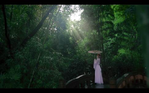 古风女子下雨中撑伞树林(包含未调色原视频)