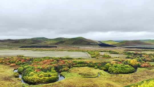 航拍内蒙古呼伦贝尔笑脸形状的湿地秋季景观