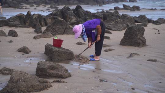 惠安女赶海挖海鲜渔民沙滩海边退潮捕鱼生活