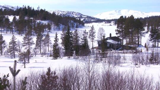 一个美丽的小木屋在白雪皑皑的荒野深处