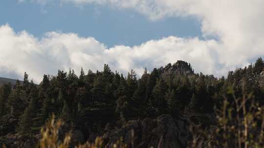 山，湖，森林，猛犸湖