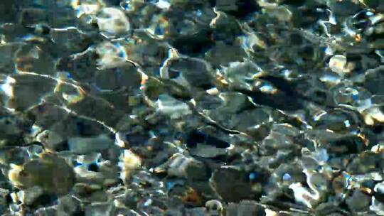 水晶般清澈的水_底部多岩石视频素材模板下载