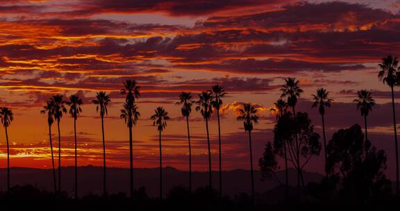 棕榈树上空的晚霞延时拍摄