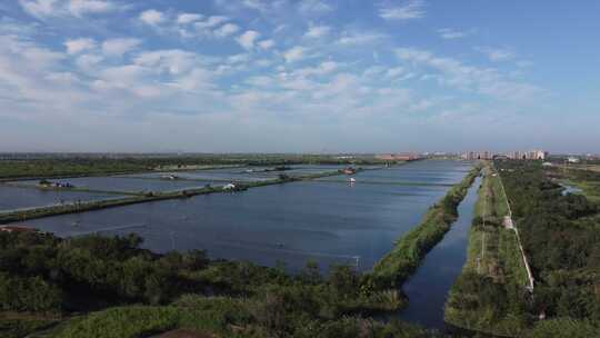 天津市静海区团泊镇生态乡村风光