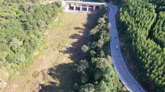 森林公路航拍树林道路汽车行驶航拍山区山路