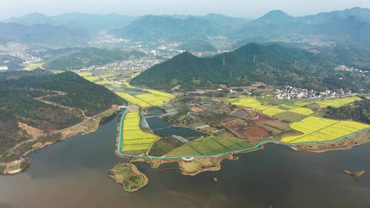 诸暨布谷湖景区油菜花海 航拍