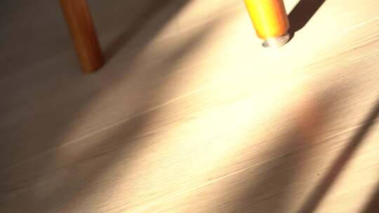 阳光照耀的慵懒的午后