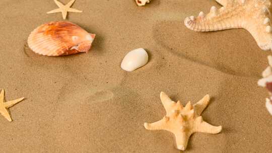 海星和贝壳在沙滩上，旋转，特写