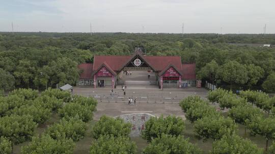 上海 奉贤 海湾森林公园 湿地景观 原生林地