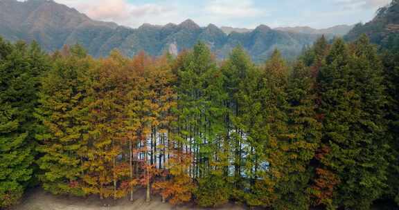 秋天的米仓山秦岭黄柏塬