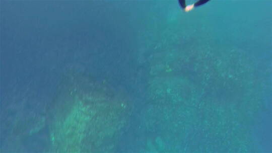 潜水员潜入海底遇到鱼群 视频素材模板下载