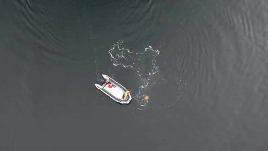 航拍渔民试图分离座头鲸
