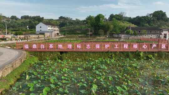 航拍福建宁德福鼎太姥山海上仙山风光