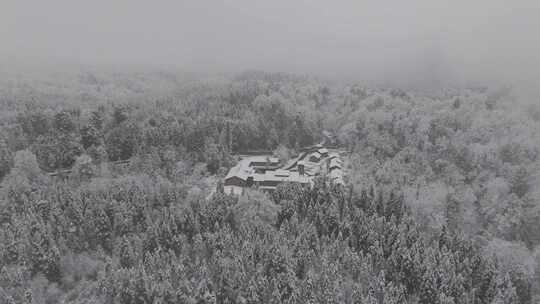 四川雅安泥巴山雪景树林雾凇实拍