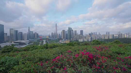 深圳福田中轴线城市景观