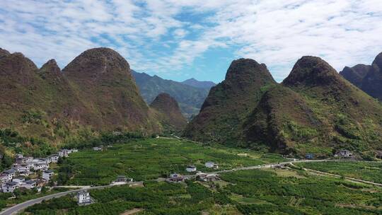 航拍桂林阳朔柑橘种植成片橘园