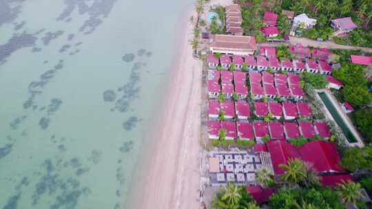 Beach，涛岛，格罗夫，泰国