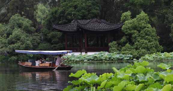 杭州西湖中式园林初夏细雨荷叶曲院风荷