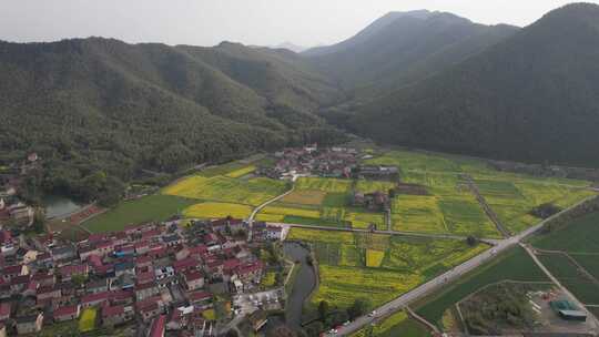 油菜花开，春日的宁国市西村风光航拍素材