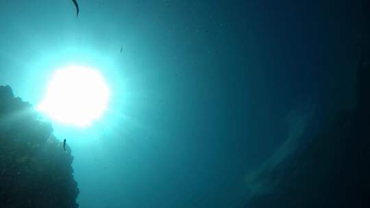 用浮潜装置游泳和潜水，从海底拍摄，显示阳