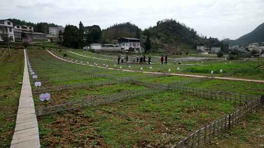 劳动空镜刨土锄地农场工人耕作劳作翻土