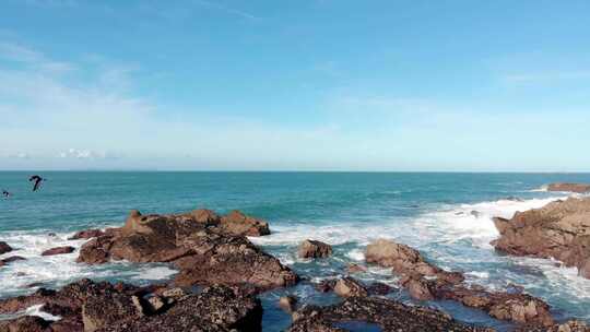 泽西岛普莱蒙特湾，海鸟在前景飞翔，岩石被