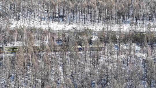 穿越大兴安岭林海雪原冻土雾凇地带的绿皮火车 (1)