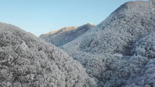 航拍湖北神农架冬季冬天阳光冰雪雪松雪景