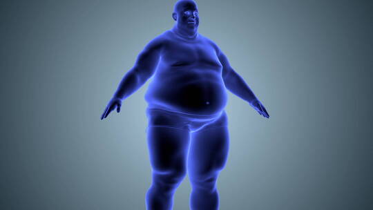 男性变瘦动态变化减肥3D效果倒放长胖