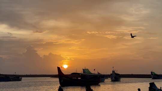 海边落日夕阳渔船海鸟