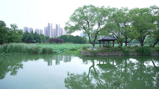 武汉龟山月湖风景区