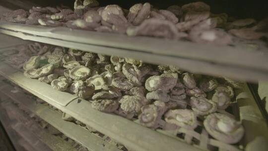 香菇种植采收加工视频素材模板下载