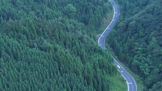 俯视山林蜿蜒公路白色行车横移01