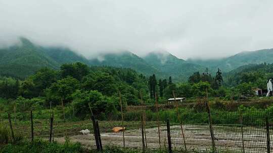 烟雨江南