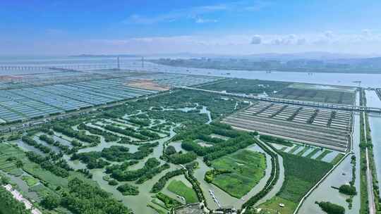 【4K】航拍广州南沙·湿地公园风景素材