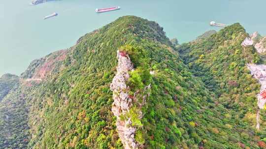 三峡红叶