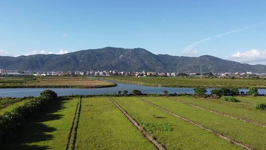 大气 航拍 福建 莆田 涵江 乡野 河流 远山