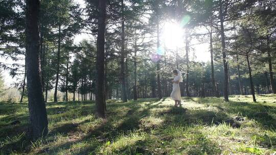 结婚的新人喜庆画面新娘走在森林里