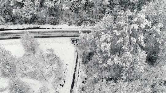 无人驾驶飞机拍摄的汽车在冬季森林道路上行